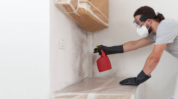 Professional Basement Mold Remediation technician working in Glen Echo, MD