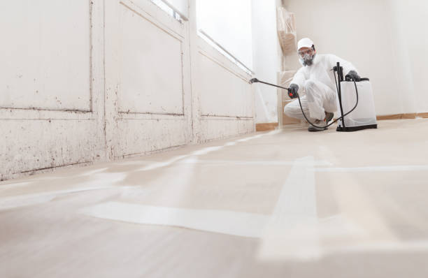 24/7 Emergency Basement Mold Remediation experts in Glen Echo, MD